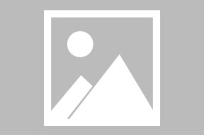 9九游全站网站 -Scout重返赛场，晋级下一阶段首场状态出色，加拿大队观众沸腾！的简单介绍