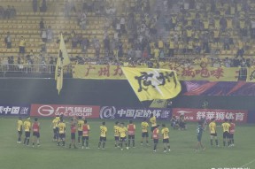九游娱乐备用 -关于乒乓球常规赛掀起高潮，江汉雷豹队强势反弹岭东雄狮队，高压逼抢奏功——客场静默反击的信息