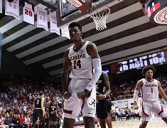  鹿岛鹿角vs福冈黄蜂比赛分析 