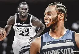 明尼苏达彭晓琳学姐